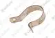 VAILLANT-Feder-VE-6-28-R1-u-w-Vaillant-Nr-0020107618 gallery number 1